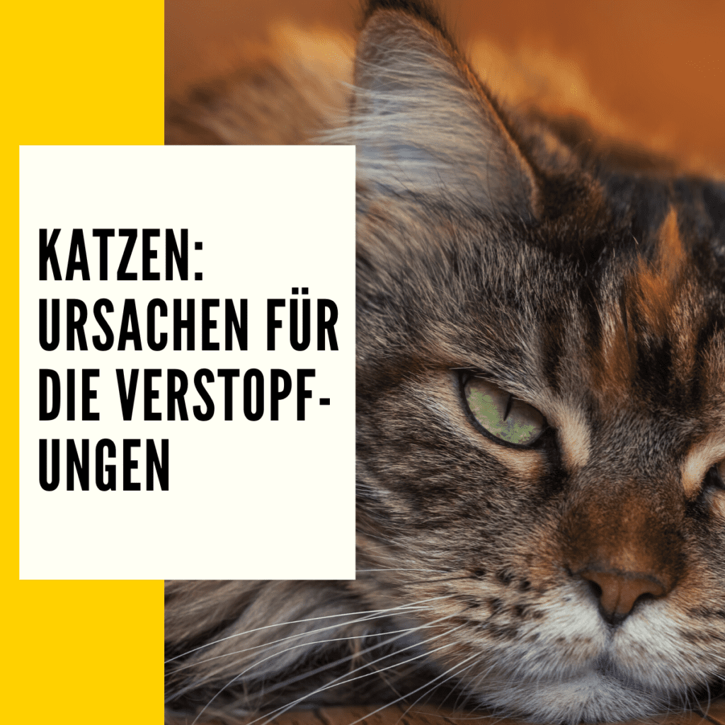 Zyluniy 4-tlg. Abflussreiniger Set - Edelstahl Spirale & Bürsten Für Verstopfungen In Küche & Bad