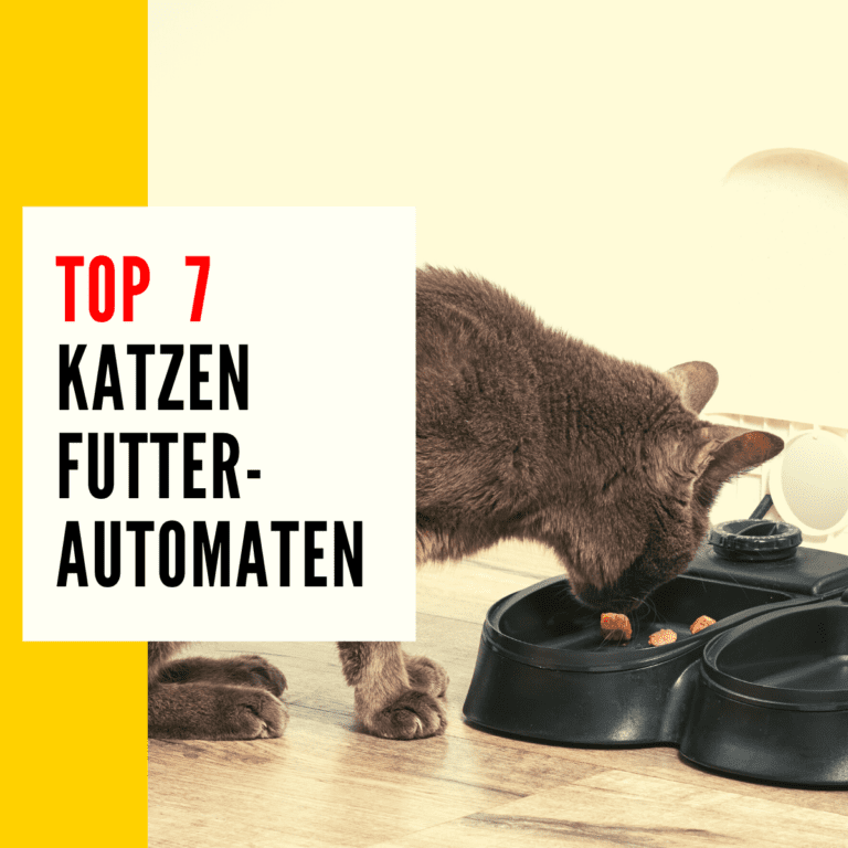 Futterautomat Katze: In diesem Beitrag geht es um Futterautomaten Katze & um unsere Produktempfehlungen!