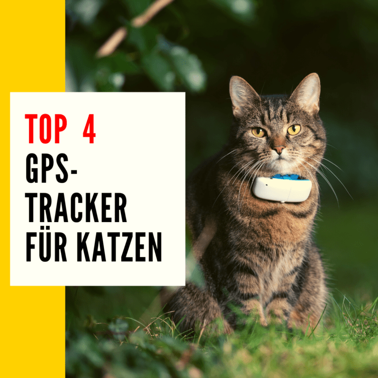 GPS Tracker Katze: In diesem Beitrag vergleichen wir für euch die besten GPS Tracker für eure Katze!
