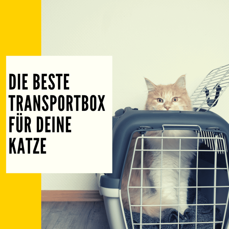 Transportbox Katze: Die besten Transportboxen im direkten Vergleich!